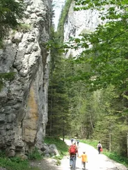 Vallée de Kościeliska, Zakopane et les Tatras, Pologne