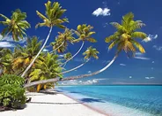Motu du Sud et plages de sable rose, Fakarava, Polynésie française