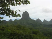 Marae de Titiroa et plantations d'ananas, Moorea, Polynésie française