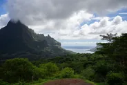 Randonnée des Trois Cocotiers, Moorea, Polynésie française