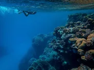 Jardin de corail de Taha'a, Raiatea et Taha'a, Polynésie française