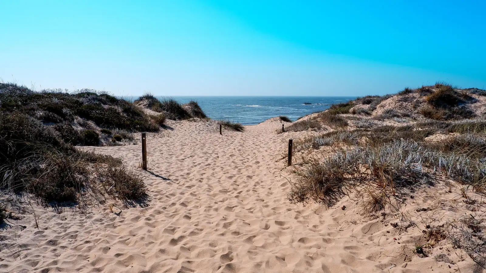 Vila Nova de Milfontes et la côte sauvage, Portugal du Sud