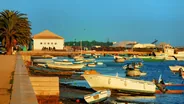 Le poulpe de Santa Luzia, Tavira, Portugal du Sud