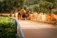 Zoosafari de Fasano, Ostuni, Pouilles