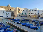 Monopoli, le port et la vieille ville, Polignano a Mare et Monopoli, Pouilles