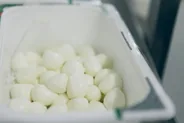 Burrata du matin à Andria, Trani et Castel del Monte, Pouilles