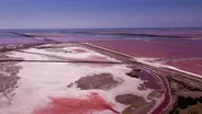 Salin de Giraud et étangs roses, Arles et la Camargue, Provence