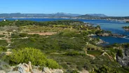 Vignoble de Cassis et vin blanc, Cassis et la côte, Provence