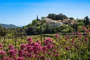 Vignobles de Gigondas et Séguret, Dentelles et Ventoux, Provence