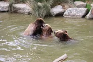 Zoo sauvage de Saint-Félicien, Lac-Saint-Jean, Québec