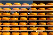 Les tvarůžky, le fromage d'Olomouc, Olomouc, République tchèque