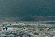 Le Grand Brûlé et les coulées de lave, Le Sud sauvage, La Réunion
