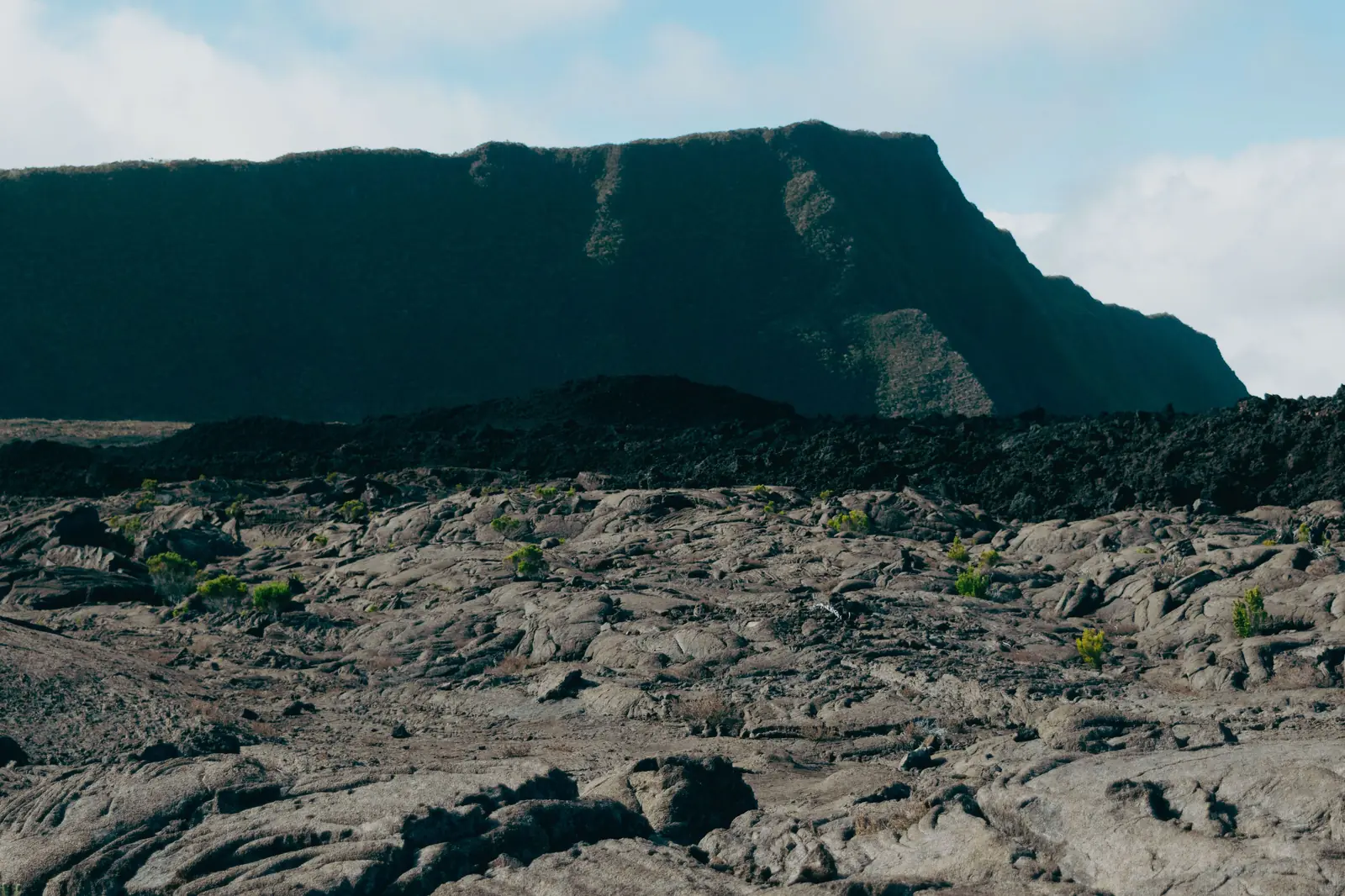 Le Sud sauvage, La Réunion
