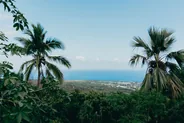 Anse des Cascades à Sainte-Rose, Côte est et Sainte-Suzanne, La Réunion