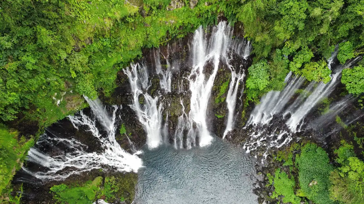 Côte est et Sainte-Suzanne, La Réunion