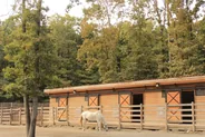 Haras de Lipica, Le Karst : Škocjan, Lipica et Štanjel, Slovénie