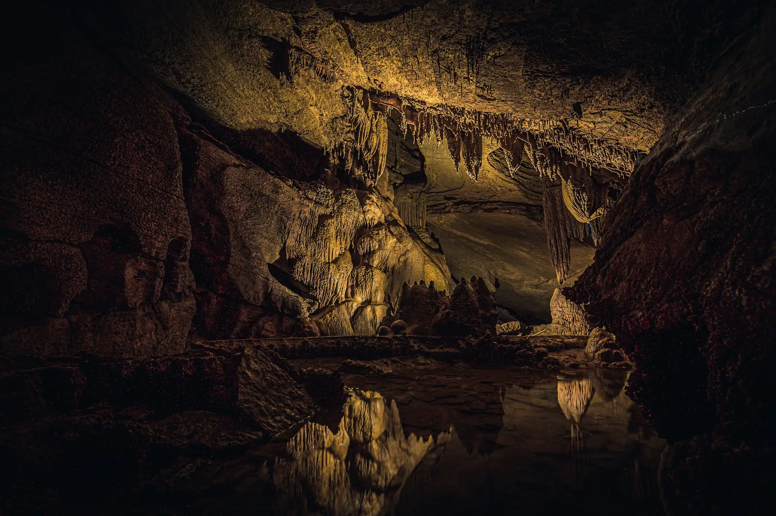 Le Karst : Škocjan, Lipica et Štanjel, Slovénie