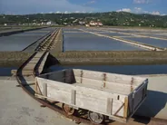 Salines de Sečovlje, Piran, Slovénie