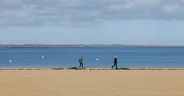 Cabanes tchanquées et île aux Oiseaux, Bassin d'Arcachon, Sud-Ouest