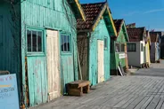 Dégustation d'huîtres au Cap Ferret, Bassin d'Arcachon, Sud-Ouest