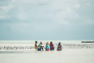 Fermes d'algues à marée basse, Paje, Tanzanie