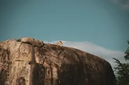 Kopjes de Moru et leurs peintures, Serengeti, Tanzanie