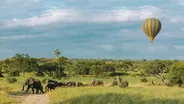 Marche guidée en bordure du parc, Tarangire, Tanzanie