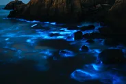Plancton bioluminescent après le coucher du soleil, Koh Phi Phi, Thaïlande classique