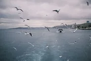 Traversée du Bosphore en bateau de ligne, Istanbul, Turquie