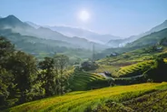 Marche dans les rizières vers Lao Chai et Ta Van, Sapa, Vietnam