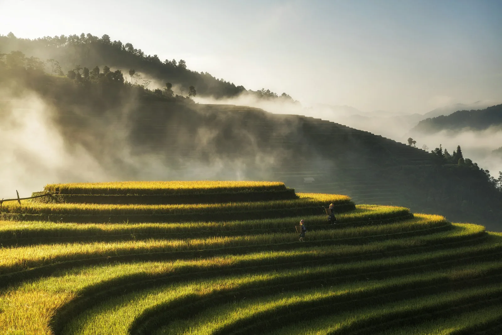Sapa, Vietnam